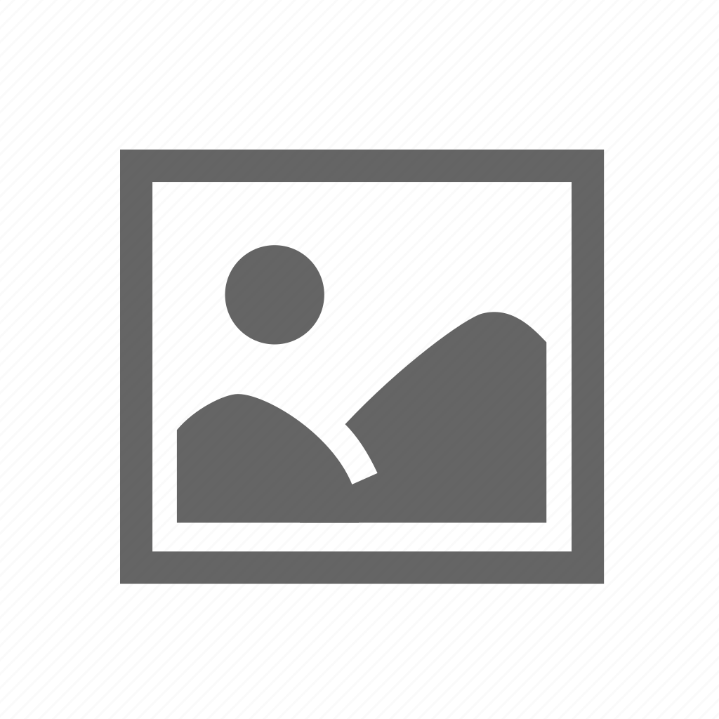 GruppeM BMW Z4 E89 Intake System