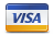 Visa Payments